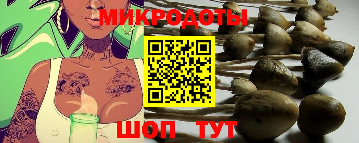Качканар  Галлюциногенные грибы прущие грибы  Псилоцибиновые грибы MAGIC MUSHROOMS  Вход с VPN 